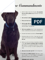 Dog Information