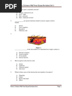 Midyear Exam Revision Set 1 Form 2