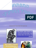 המאפיינים של מצבי צבירה