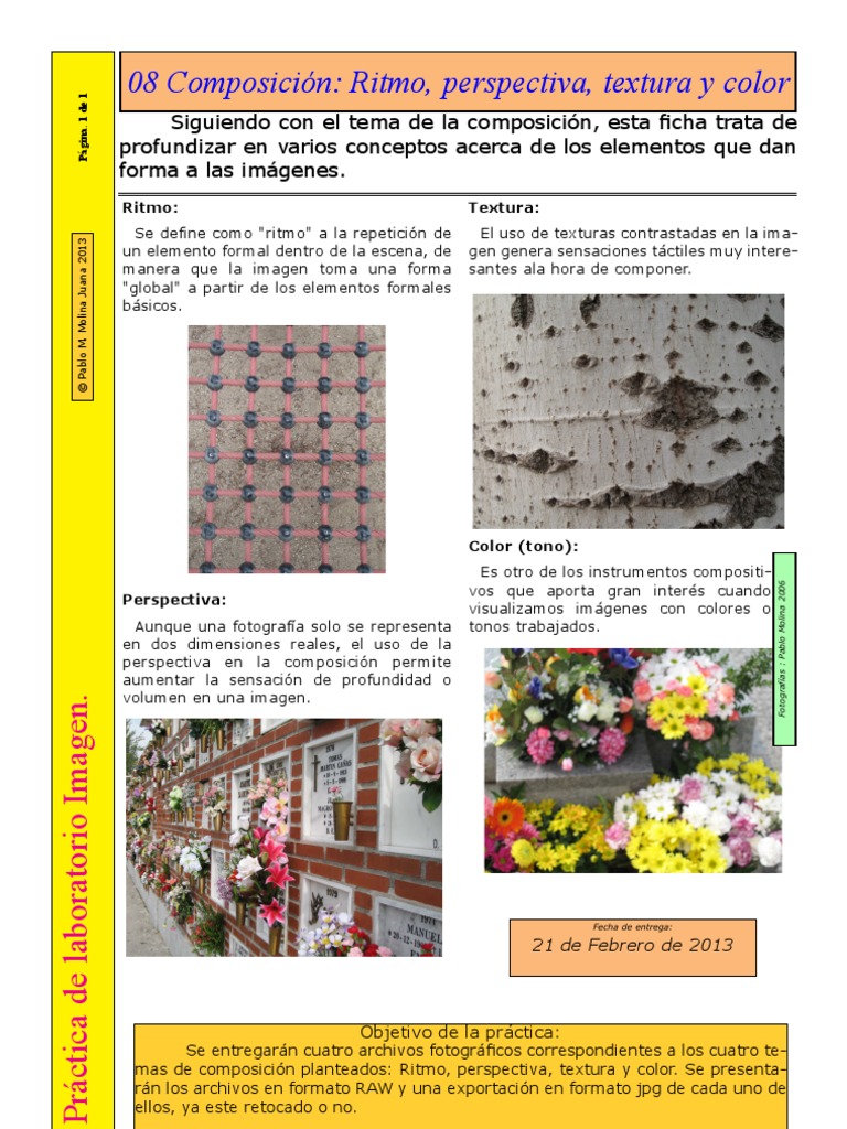 Ritmo en Composición Fotográfica | PDF | Arte