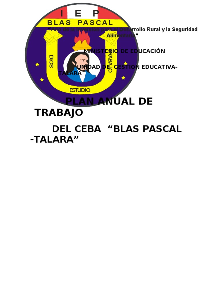 Proyecto Educativo CEBA Blas Pascal | PDF | Aprendizaje | Plan de estudios