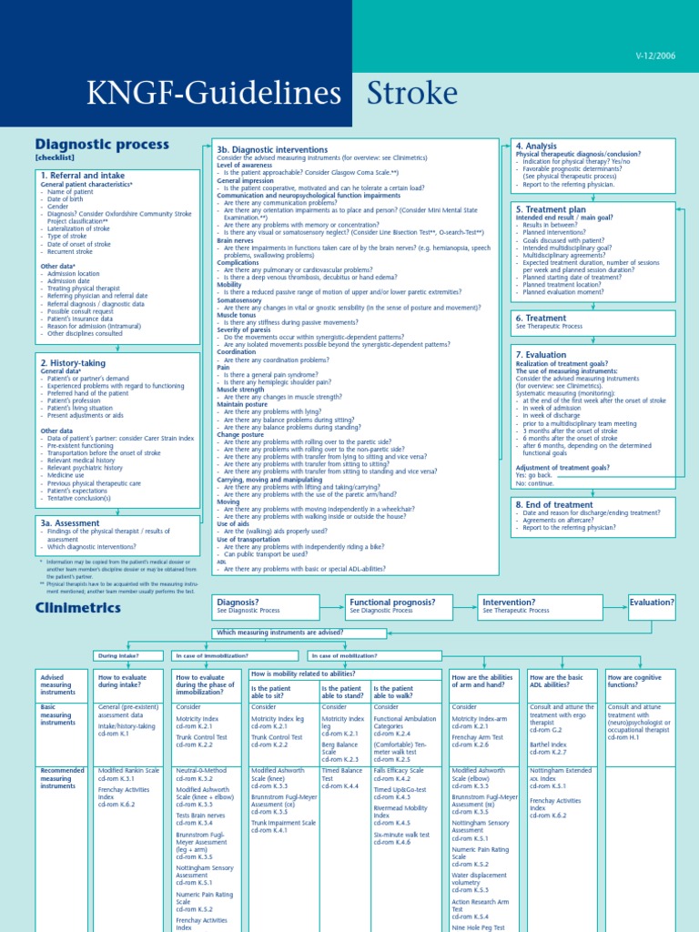 KNGF Guideline for Physical Therapy in Patients With Stroke Flowchart