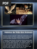 Habit Os Animais