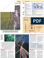 Wildlife Fact File - Insects & Spiders - Pgs. 21-30
