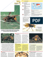 Wildlife Fact File - Insects & Spiders - Pgs. 41-50