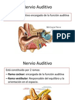 Neuroanatomia Del Octavo Par