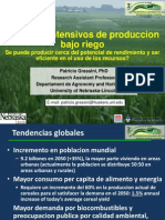 INTA Sistemas Intensivos de Produccion Bajo Riego - Grassini P