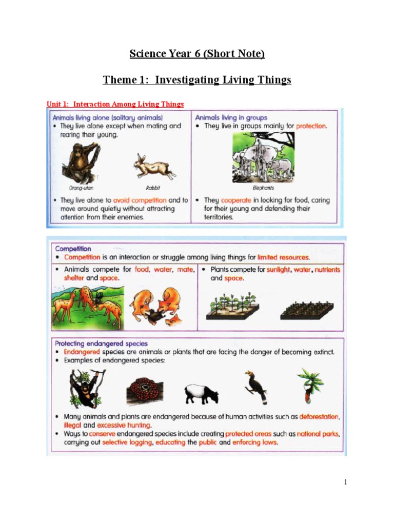 Year 6 Science Notes Overview | PDF