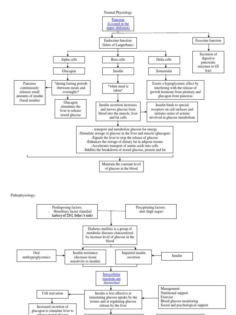 Type 2 Diabetes Mellitus Pathophysiology | PDF | Insulin | Pancreas