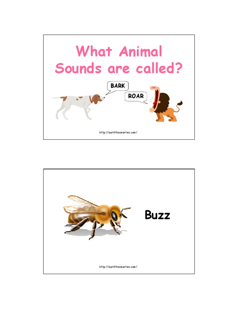 Animal Sounds and Their Names | PDF