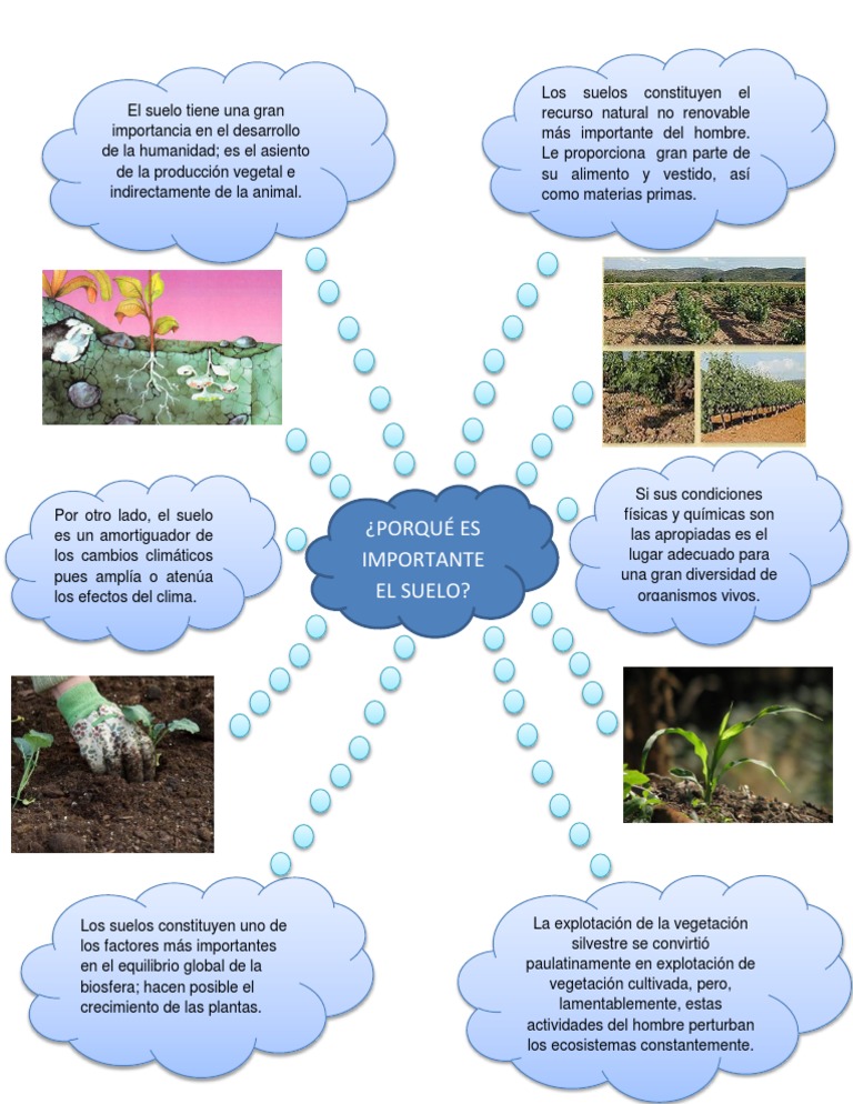 Mapa Mental Suelo Pdf