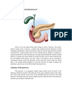 Anatomy and Physiology: Anatomy of The Pancreas