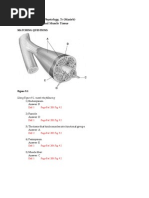 Download Chapter 9 Muscles and Muscle Tissue by Yi Pan Chen SN122177480 doc pdf