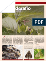 Duponchelia Fovealis - Revista - Cultivarhf2011 PDF