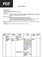 Proiect De Lectie Doc Cultura Civica