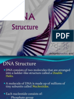 DNA, RNA & Protein Synthesis