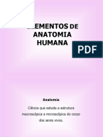 Aula1 Anatomia