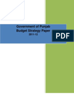 Government of Punjab Budget Strategy Paper