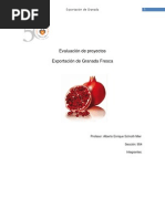 Download Word Final Estudio de Exportacion de Granada by Mirko Castillo Berdon SN122264040 doc pdf