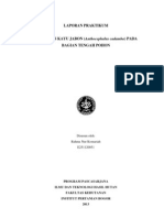 Download laporan sifat fisis kayu by ciki_ipb SN122273894 doc pdf