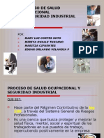 Proceso Salud Ocupacional