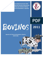 clinica bovinas