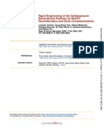 Geldanamycin Biosynthetic Pathway Engineering