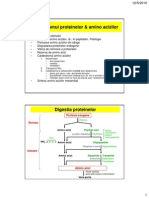 Metabolism Proteic