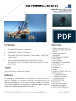Amfer - Presentation 2.pdf
