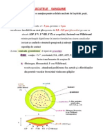 Cursuri Fiziologie