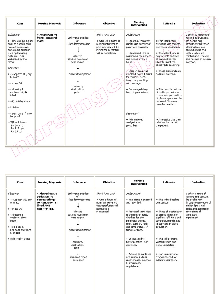 Acute Pain Nursing Care Plan | PDF | Pain | Circulatory System