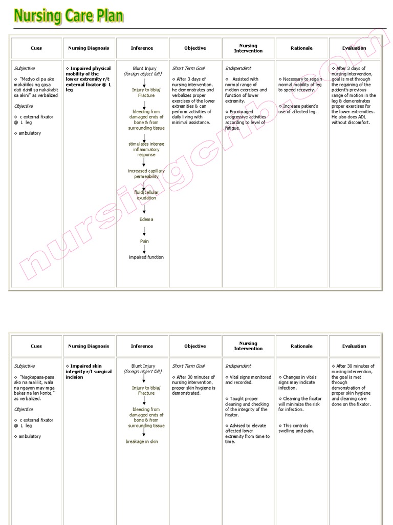 Nursing Care Plan Impaire Physical Mobility Nursing
