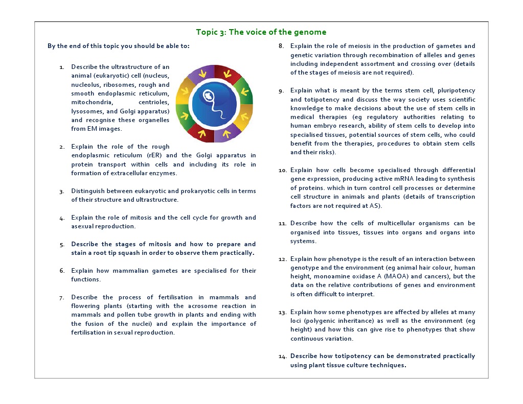 Topic 3 Student Objectives | PDF | Cell (Biology) | Life Sciences