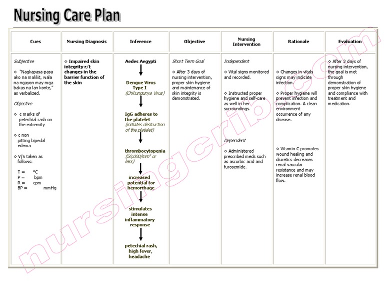 Nursingcrib Com Nursing Care Plan Impaired Skin Integrity Immunology Medical Specialties