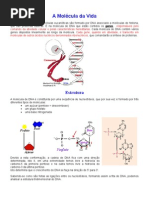 A Molécula da Vida