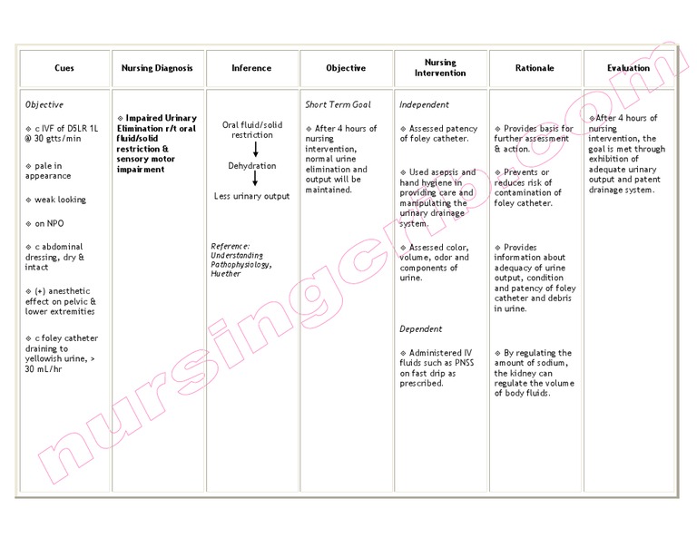 Nursing Care Plan Impaired Urinary Elimination Urine Urinary System