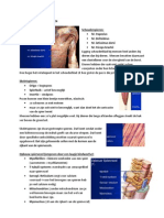 Samenvatting Vorm en Functie Relaties PDF