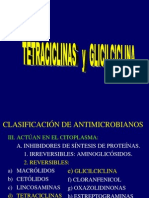 115910178 6 Tetraciclinas Dra Raquel