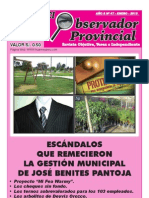 Observador Provincial - Enero 2013