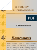 Function of the Homeostasis in the human body