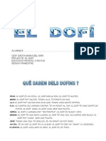 Projecte El Dofi