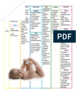 Cuadro de Seis Meses Resumido