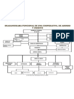 Estructura funcional cooperativa ahorro y crédito