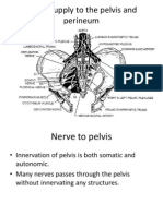 Nerve Supply to the Pelvis and Perineum