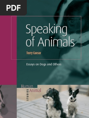 T P Caesar Speaking Of Animals Neutering Dogs