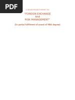 Download A Grand Project Report on Foreign Exchange and Risk Management by jignay SN12241467 doc pdf