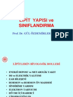 LİPİT YAPISI Ve SINIFLANDIRMA