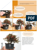 bonsai step by step 2.pdf