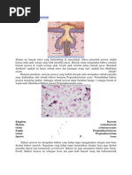 Download artikel jerawat by kirnamara SN122443882 doc pdf