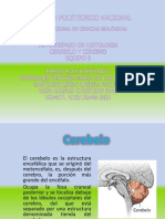 PATOLOGIA Completa